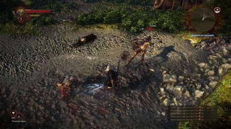 The Witcher 2 Assassins of Kings скачать торрент